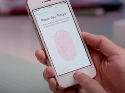 橋梁與鑰匙 iPhone 5s 與 iOS 7 為開發者鋪就的軟硬融合之路